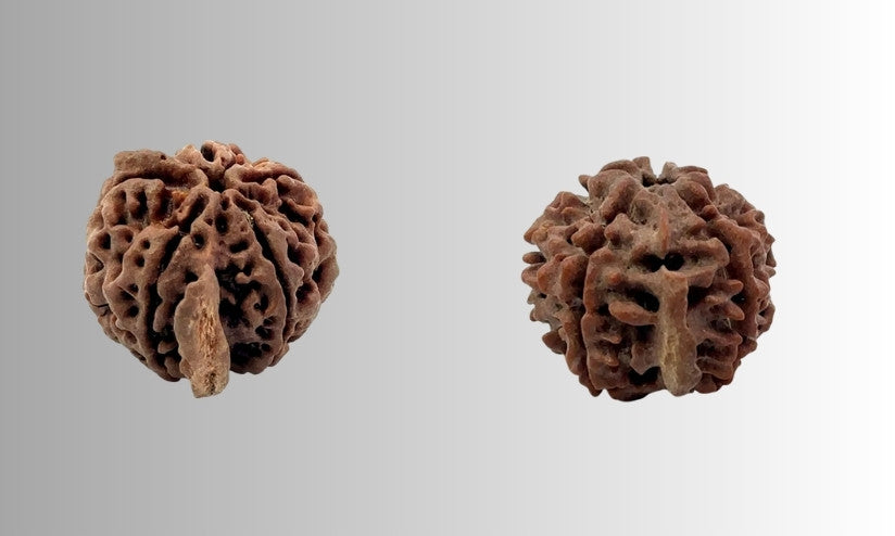 Panchmukhi Rudraksha benefits