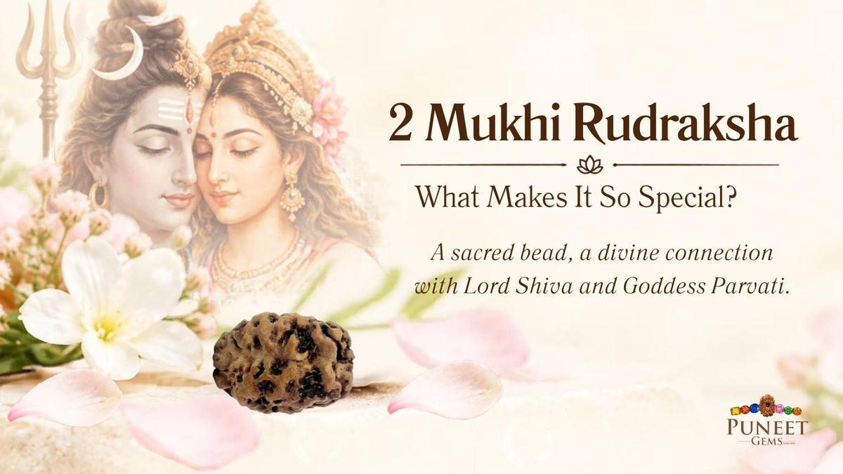 2 Mukhi Rudraksha: What Makes It So Special?