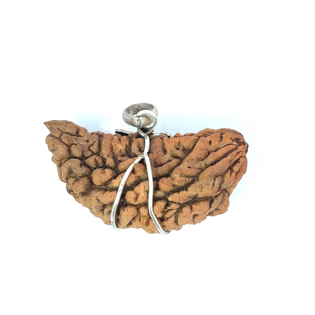 1 Mukhi Rudraksha Om Silver Locket