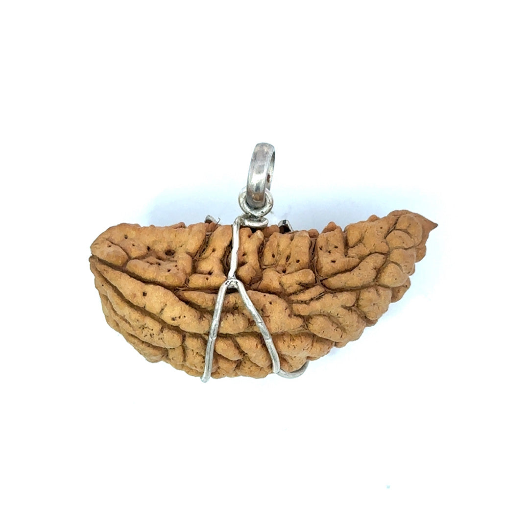 1 Mukhi Rudraksha Trishul Silver Locket