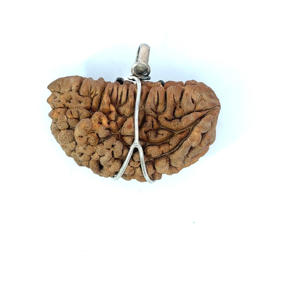 1 Mukhi Rudraksha Trishul Silver Locket