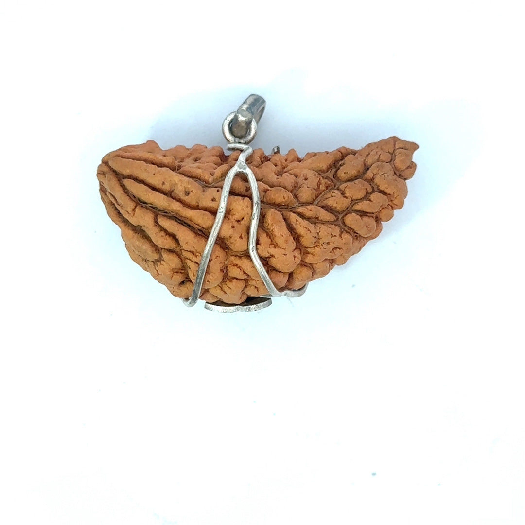 1 Mukhi Rudraksha Trishul Silver Locket