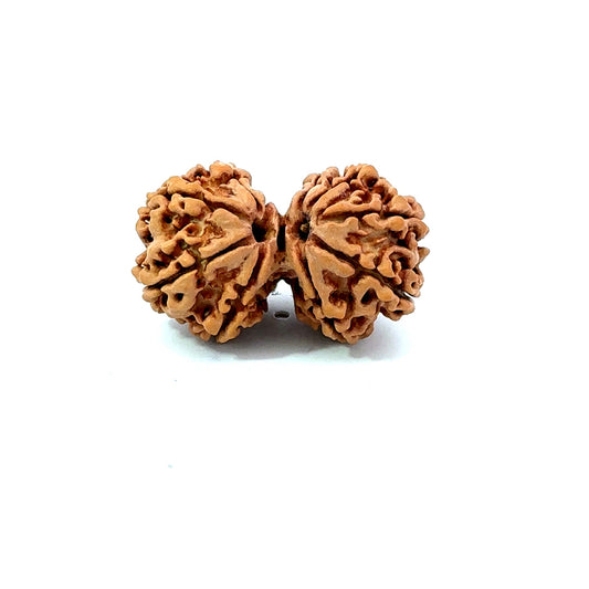 Gauri Shankar Rudraksha Nepali