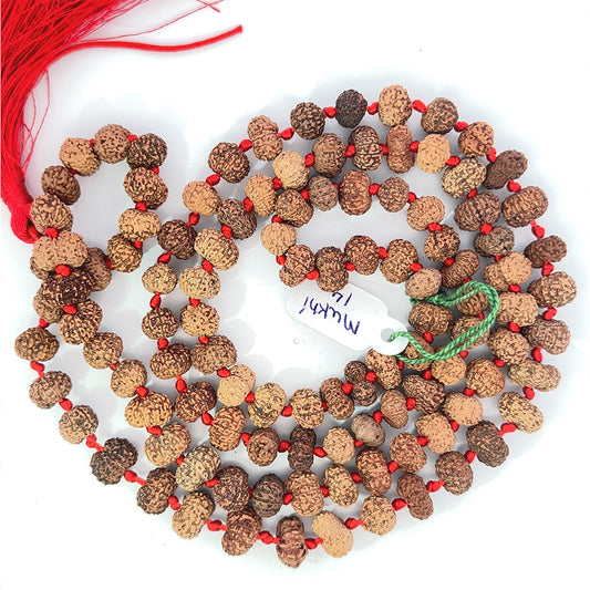14 Mukhi Rudraksha Mala