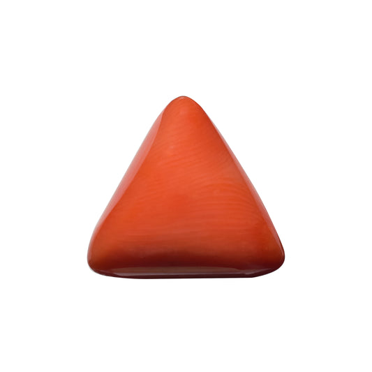 Natural Triangle Coral – The Gem of Strength, Vitality & Protection 10.97 CT