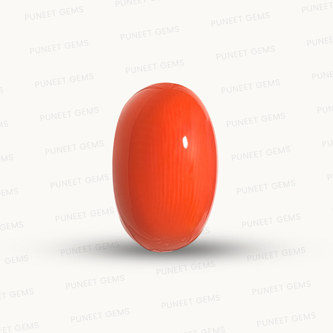 Natural Coral Gemstone – The Gem of Strength, Vitality & Protection 10.98 CT