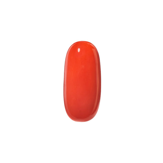Natural Coral Gemstone – The Gem of Strength, Vitality & Protection 11.04 CT