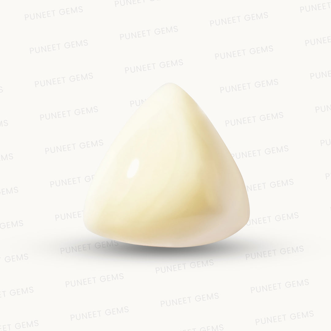 Natural White Coral Gemstone – The Gem of Strength, Vitality & Protection 11.18 CT
