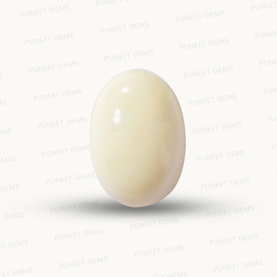 Natural White Coral Gemstone – The Gem of Strength, Vitality & Protection 11.83 CT