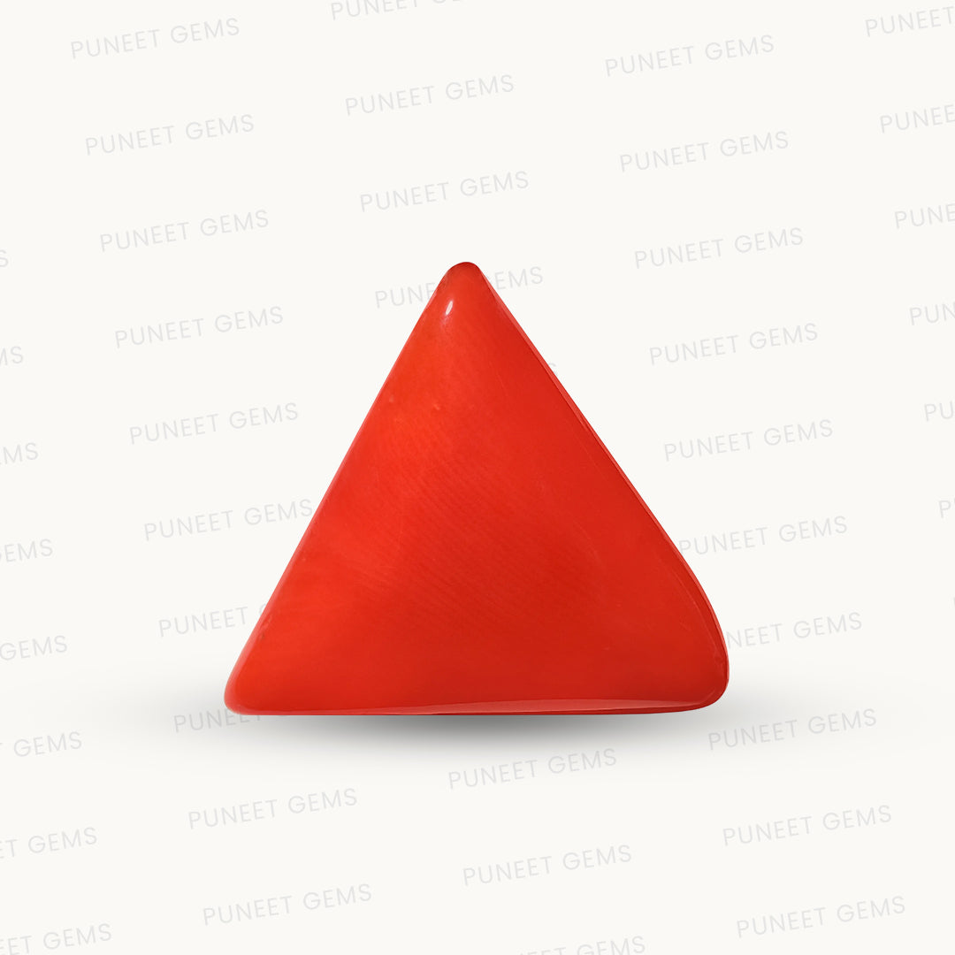 Natural Triangle Coral – The Gem of Strength, Vitality & Protection 12.11 CT