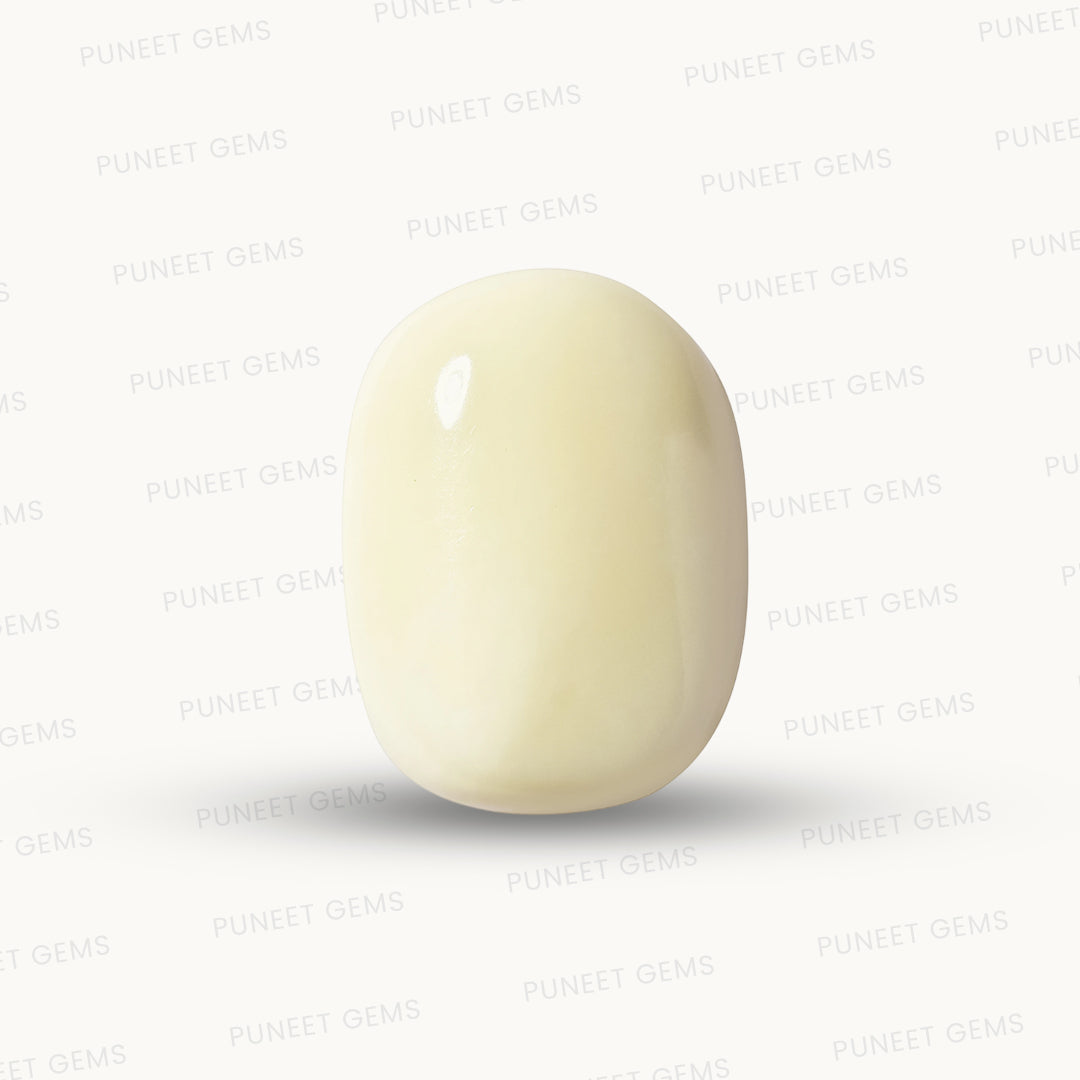 Natural White Coral Gemstone – The Gem of Strength, Vitality & Protection 13.34 CT