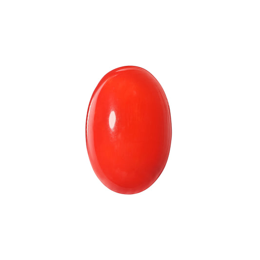 Red Coral Japanese – Natural Moonga for Strength 14.48 CT