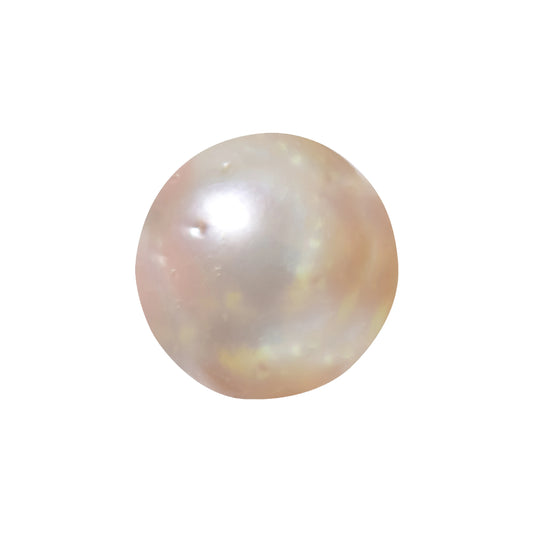 Natural Pearl (Moti) – The Gem of Purity, Elegance & Peace 21.64 CT