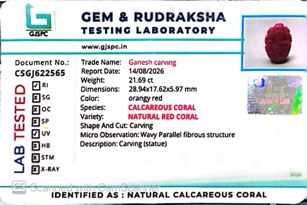 Coral Ganesh 21.69 CT – Certified Gemstone