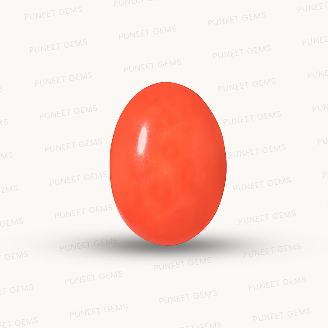 Red Coral Japanese – Natural Moonga for Strength 3.38 CT (Copy)