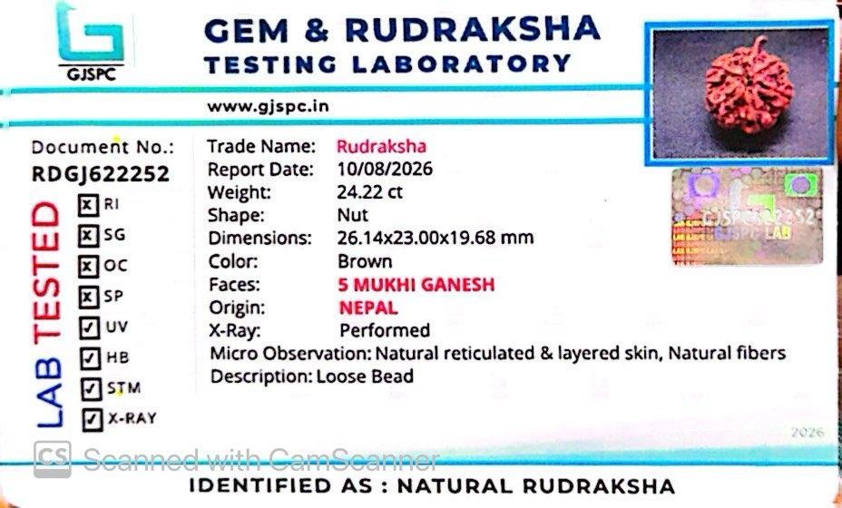 Nepali 5 Mukhi Ganesh Rudraksha