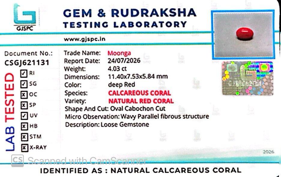 Natural Red Coral (Moonga) – Italy Origin – Certified & Untreated Gemstone for Mars Energy 4.03 CT
