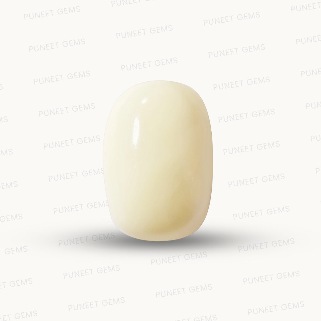 Natural White Coral Gemstone – The Gem of Strength, Vitality & Protection 5.10 CT