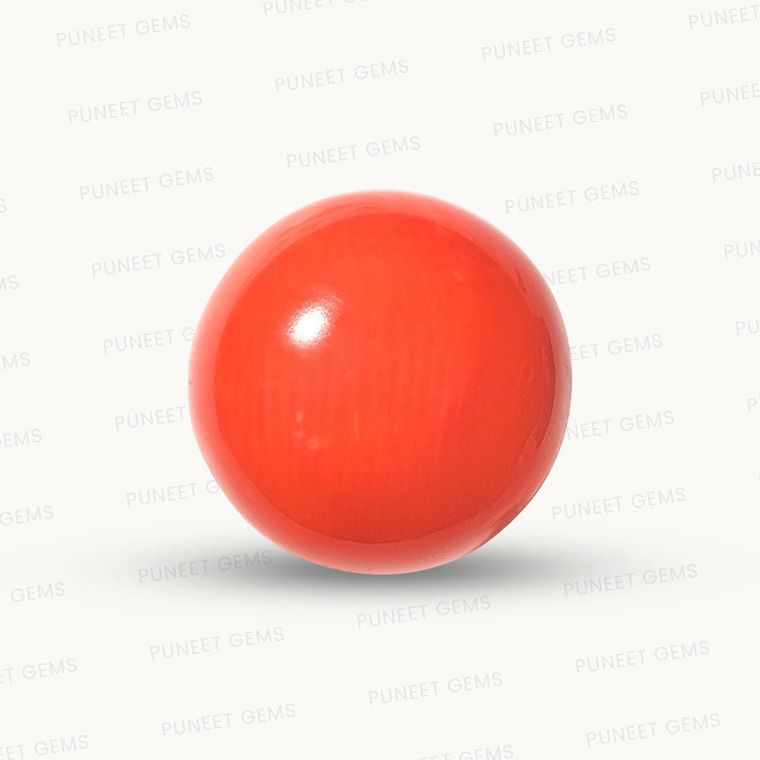 Natural Round Coral – The Gem of Strength, Vitality Protection 5.31 CT