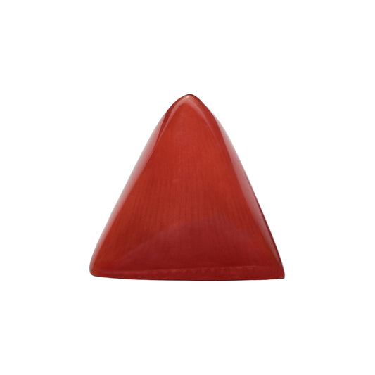 Natural Triangle Coral – The Gem of Strength, Vitality & Protection 5.48 CT
