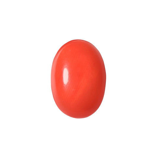 Red Coral Japanese – Natural Moonga for Strength 5.69 CT