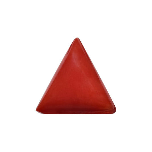Natural Triangle Coral – The Gem of Strength, Vitality & Protection 5.88 CT