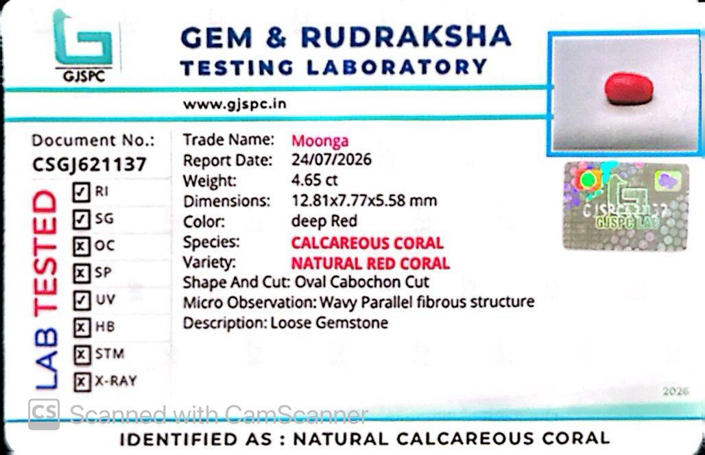 Natural Red Coral (Moonga) – Italy Origin – Certified & Untreated Gemstone for Mars Energy 4.65 CT