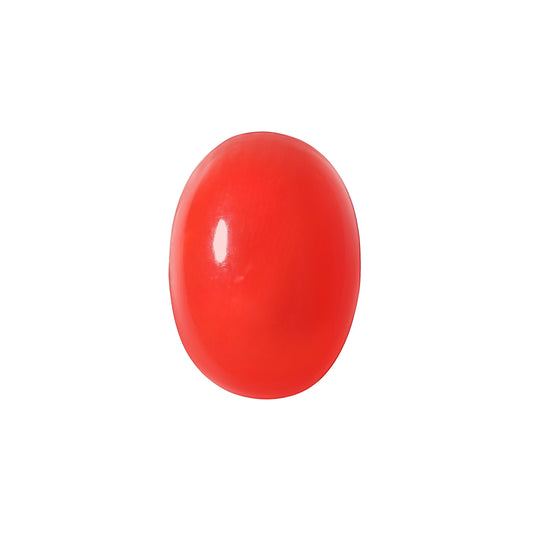 Red Coral Japanese – Natural Moonga for Strength 6.10 CT
