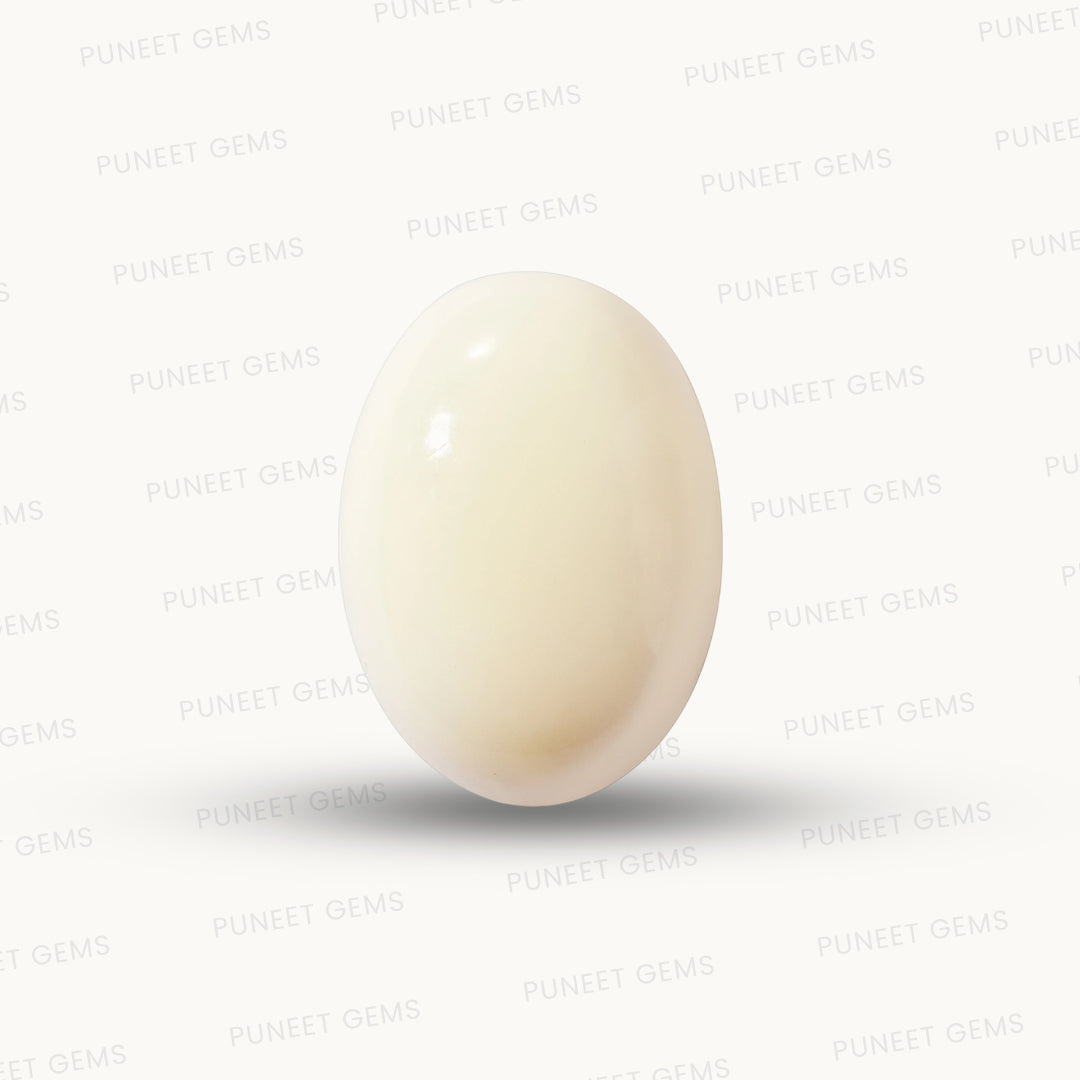 Natural White Coral Gemstone – The Gem of Strength, Vitality & Protection 6.12 CT
