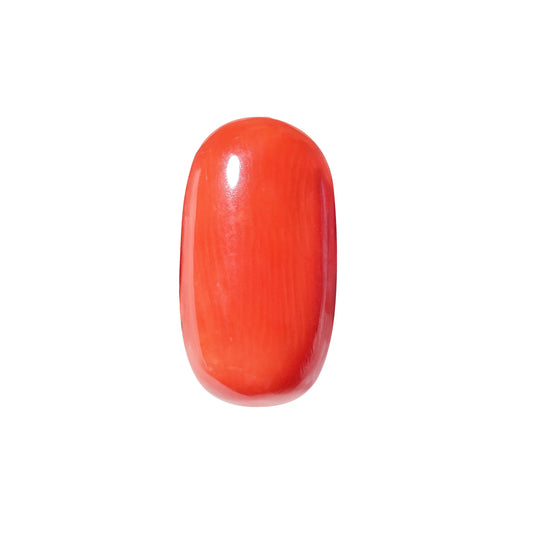 Natural Red Coral (Moonga) – Italy Origin – Certified & Untreated Gemstone for Mars Energy 6.40 CT