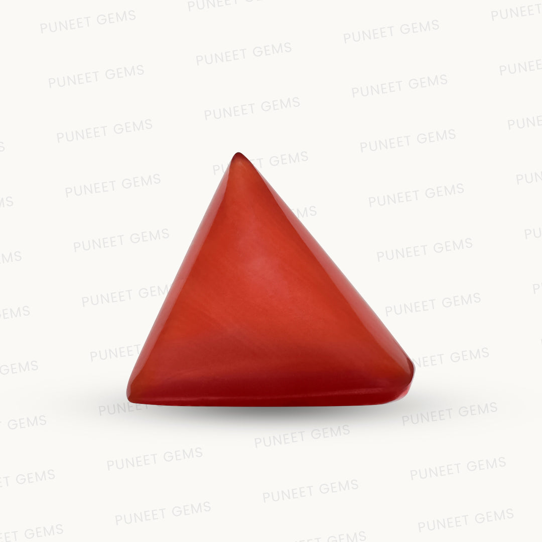 Natural Triangle Coral – The Gem of Strength, Vitality & Protection 6.44 CT