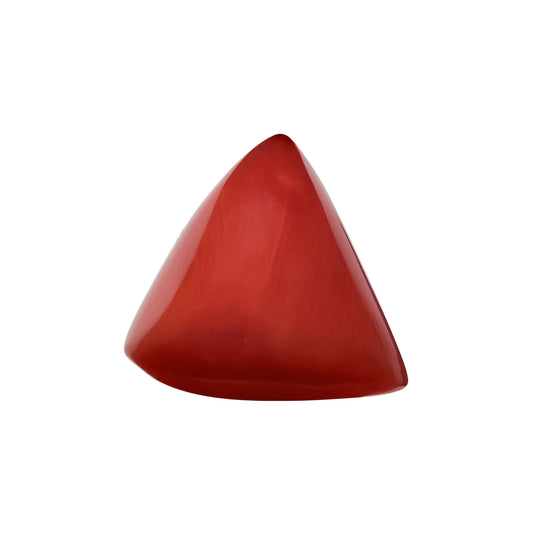 Natural Triangle Coral – The Gem of Strength, Vitality & Protection 6.49 CT