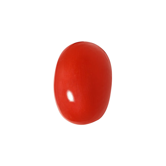 Natural Coral Gemstone – The Gem of Strength, Vitality & Protection 6.60 CT