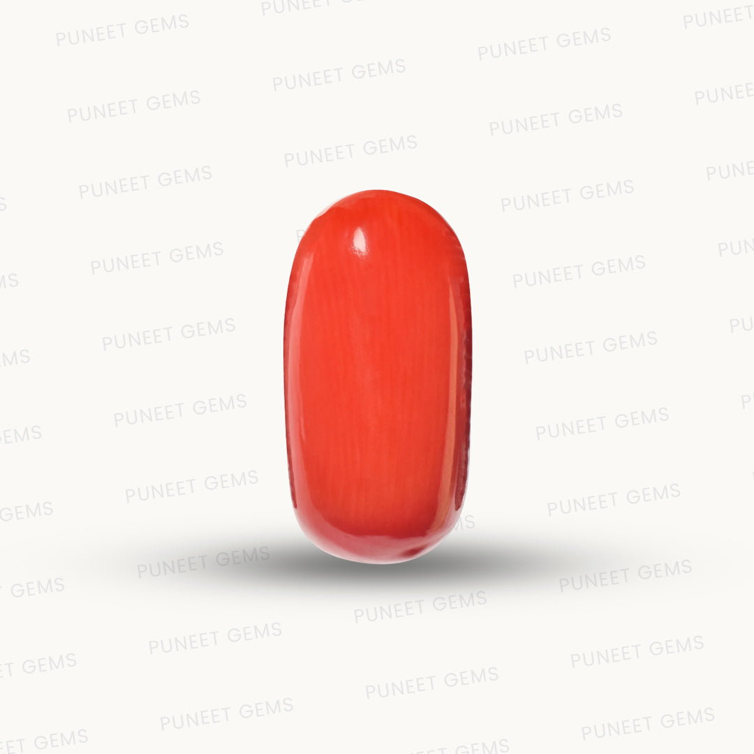 Natural Coral Gemstone – The Gem of Strength, Vitality & Protection 6.91 CT
