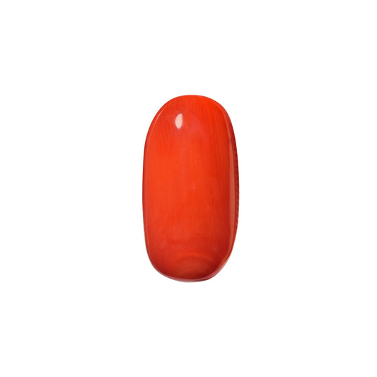 Natural Coral Gemstone – The Gem of Strength, Vitality & Protection 7.14 CT