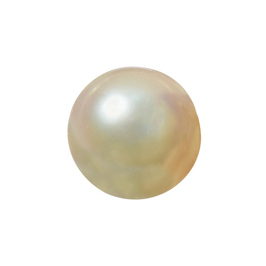 Natural Pearl (Moti) – The Gem of Purity, Elegance & Peace 7.18 CT