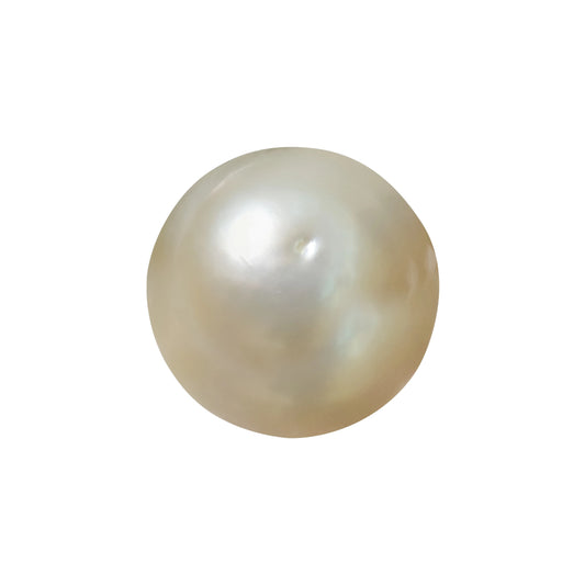 Natural Pearl (Moti) – The Gem of Purity, Elegance & Peace 7.37 CT