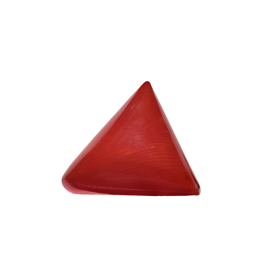 Natural Triangle Coral – The Gem of Strength, Vitality & Protection 7.49 CT