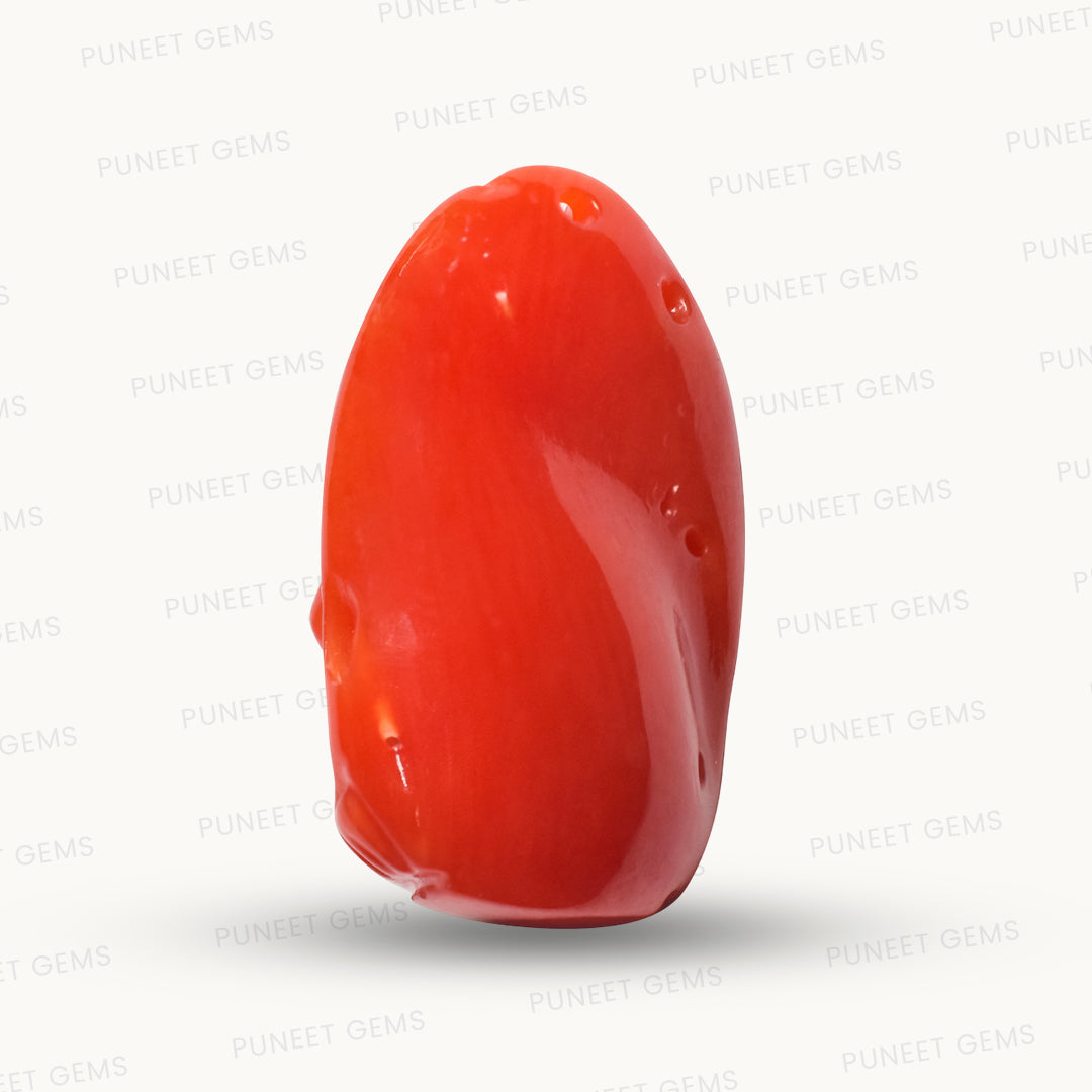 Coral Ganesh Gemstone Sculpture – Remover of Obstacles, Bringer of Strength & Success 7.61 CT