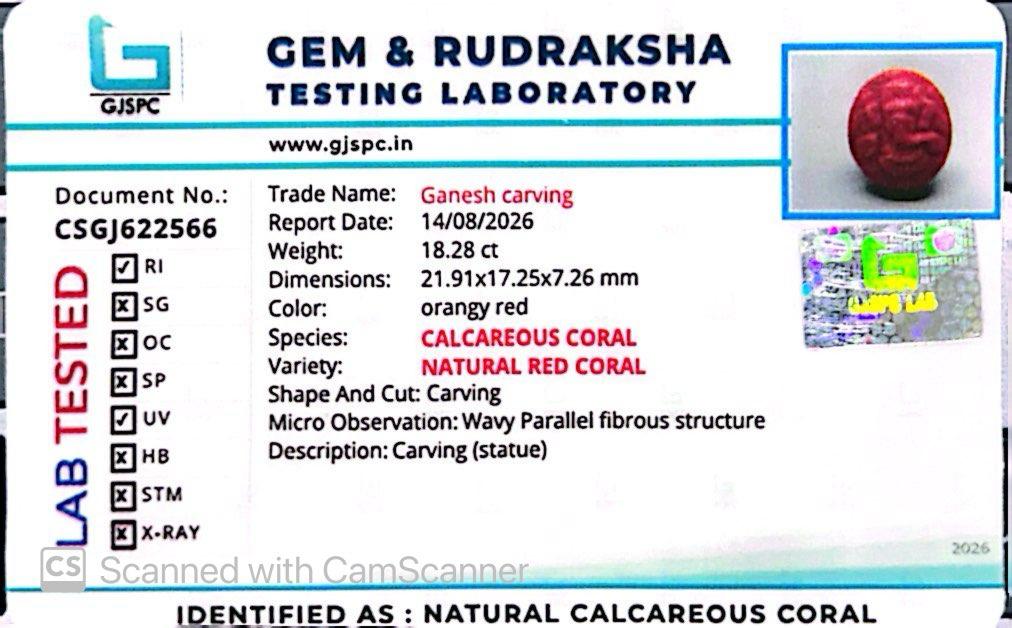 Coral Ganesh 18.28 CT – Certified Gemstone