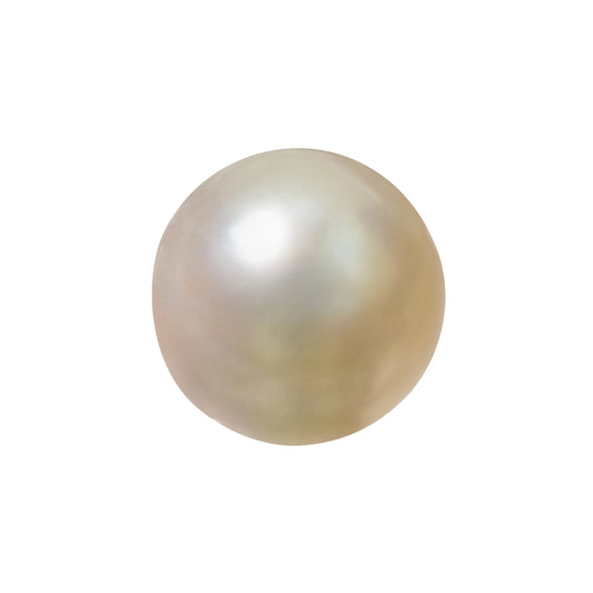 Natural Pearl (Moti) – The Gem of Purity, Elegance & Peace 8.31 CT