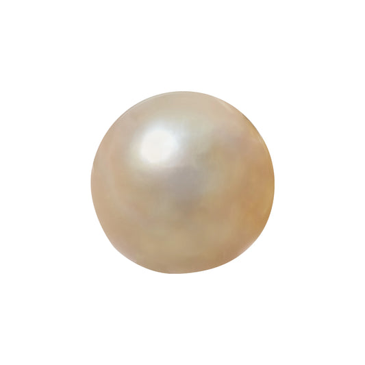 Natural Pearl (Moti) – The Gem of Purity, Elegance & Peace 8.88 CT