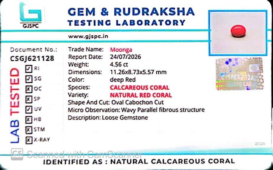Natural Red Coral (Moonga) – Italy Origin – Certified & Untreated Gemstone for Mars Energy 4.56 CT
