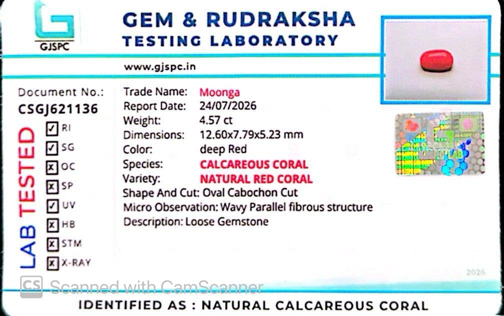 Natural Red Coral (Moonga) – Italy Origin – Certified & Untreated Gemstone for Mars Energy 4.57 CT