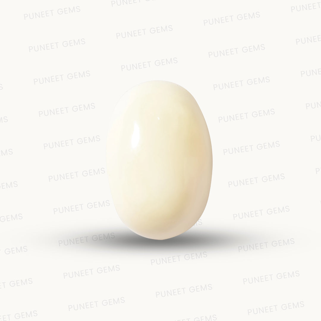 Natural White Coral Gemstone – The Gem of Strength, Vitality & Protection 9.35 CT