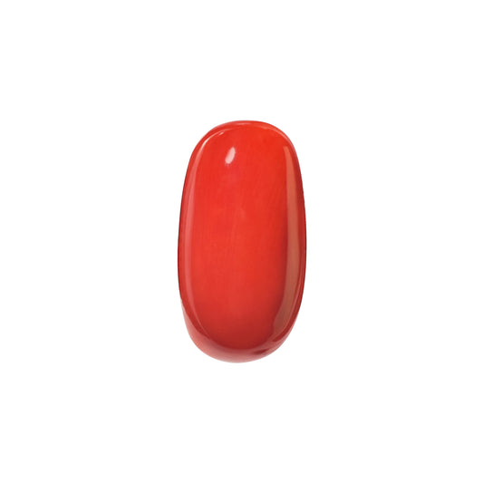 Natural Coral Gemstone – The Gem of Strength, Vitality & Protection 9.55 CT