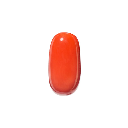 Natural Coral Gemstone – The Gem of Strength, Vitality & Protection 9.55 CT