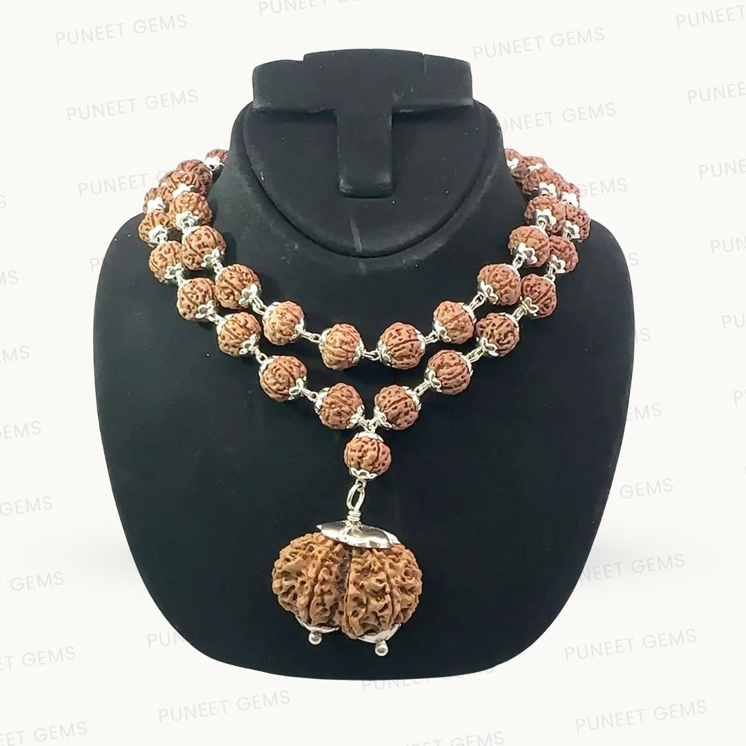 Gauri Shankar Rudraksha in Pure Silver Rudraksha Mala – Energized & Certified