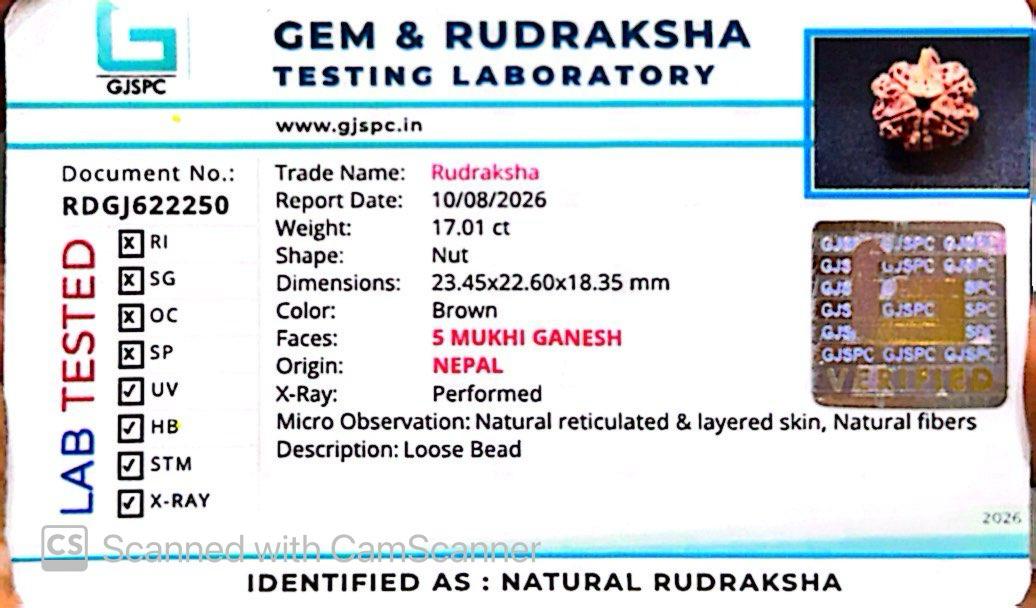 Nepali 5 Mukhi Ganesh Rudraksha