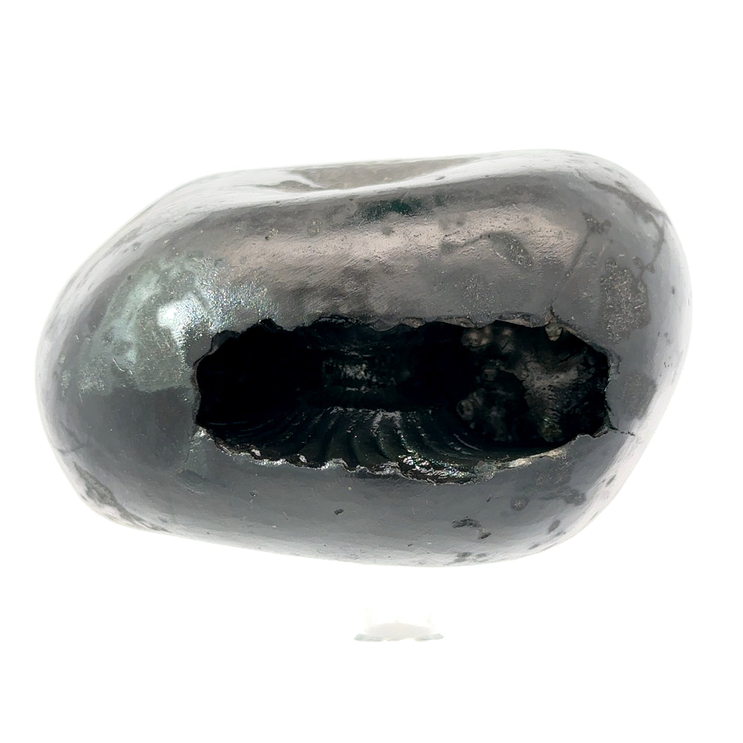 SHRI LAXMI NARAYAN SHALIGRAM- stones, revered in Hinduism, are & primarily used as symbols of Lord Vishnu.
